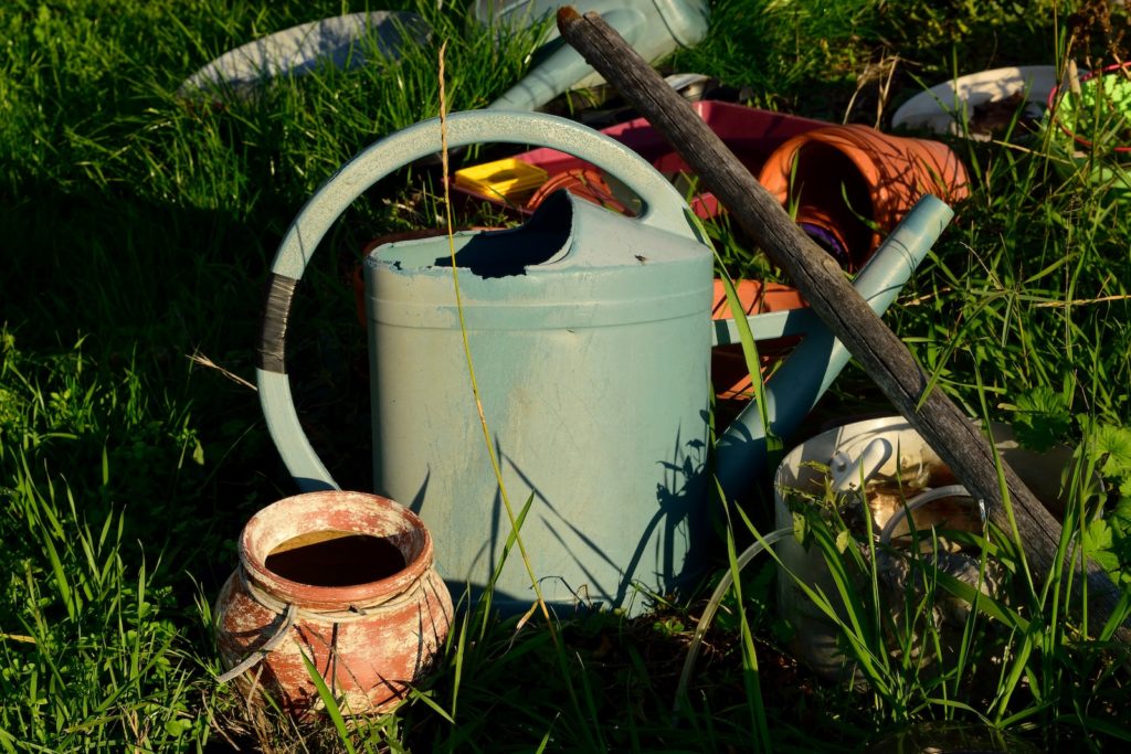 jardin, jardinage en pot