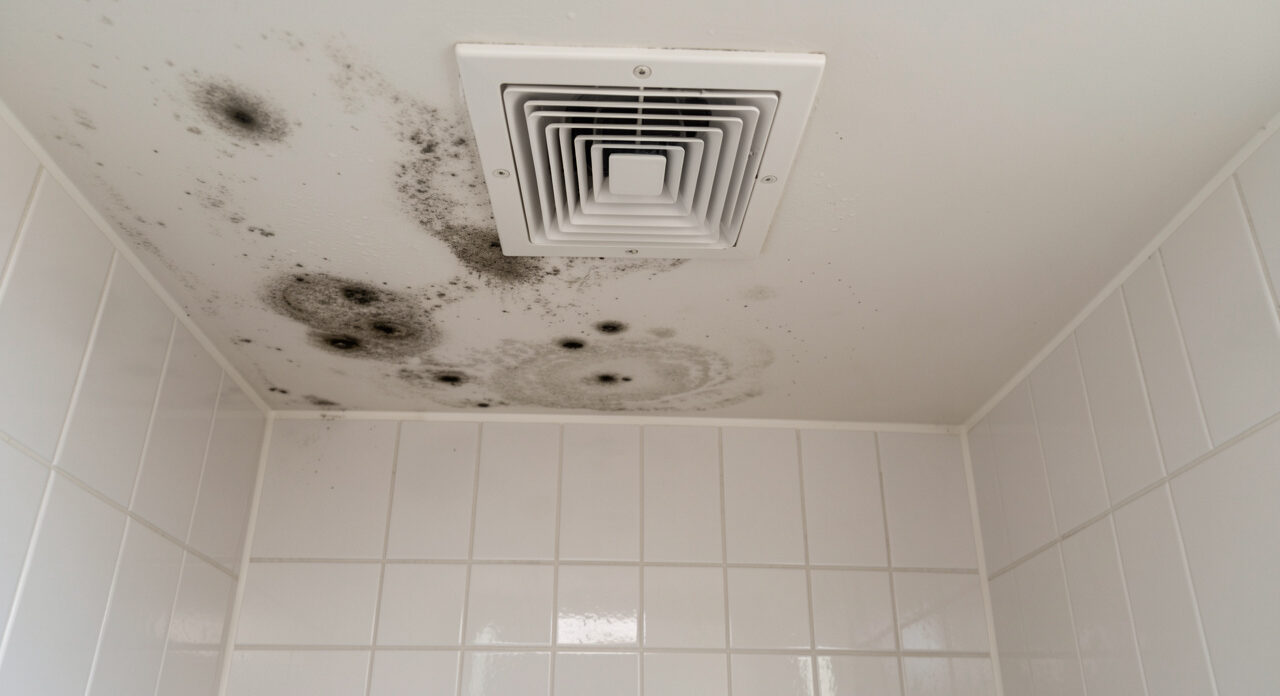 Plafond de salle de bains présentant des taches de moisissure et de la condensation près d’une bouche d’aération.