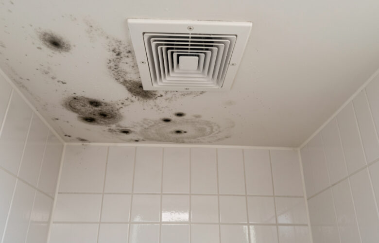 Plafond de salle de bains présentant des taches de moisissure et de la condensation près d’une bouche d’aération.